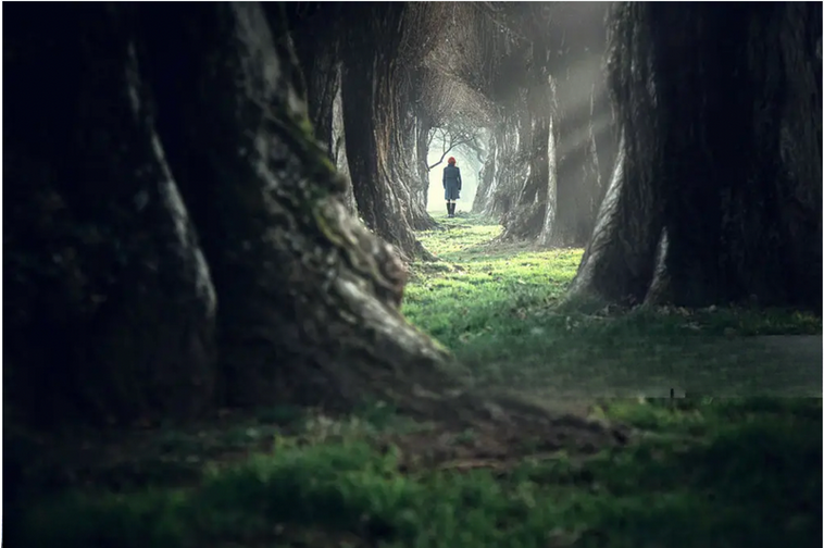 You are not the person you were